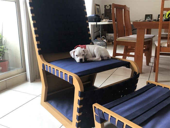 Pet-Friendly Furniture on Behance