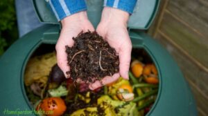 Compost frugallivingnw