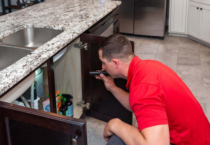 Inspection inspections services palm coast Inspection inspections services palm coast